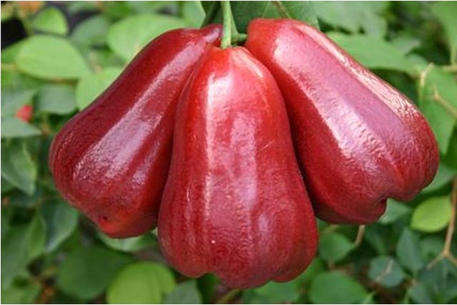 1709880494336368.png ΢ÐŽØÍ¼_20240305160353.png