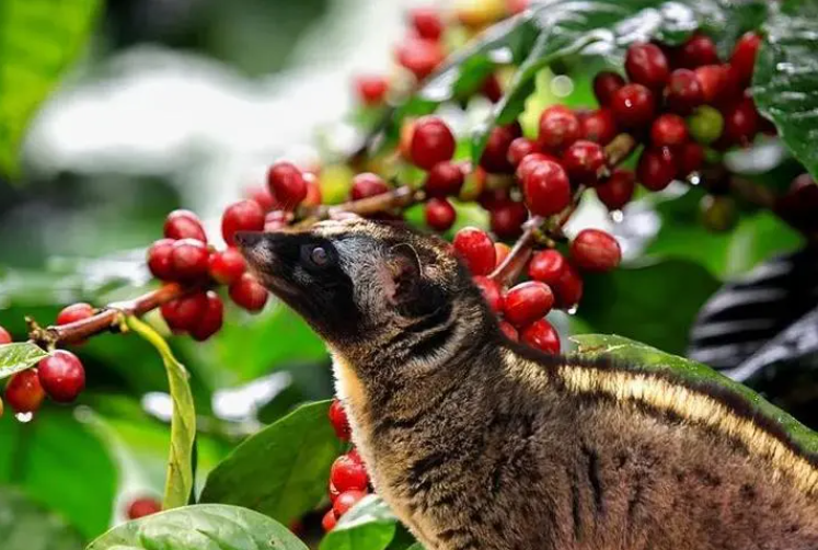 1697442222492827.png ΢ÐŽØÍ¼_20230829152211.png