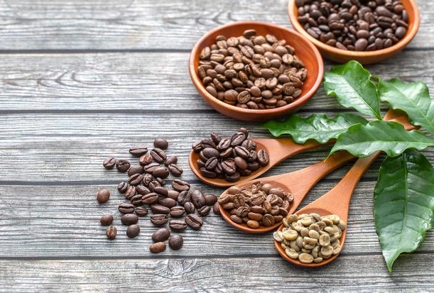 1697442232754681.png ΢ÐŽØÍ¼_20230926155603.png