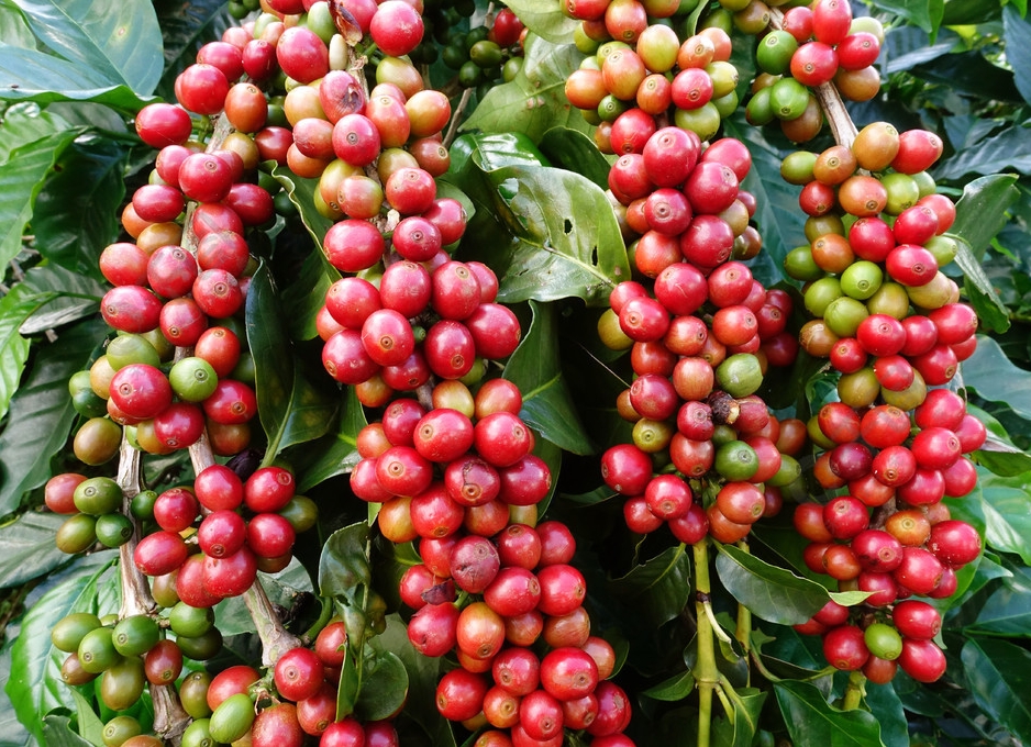 1697442244166977.png ΢ÐŽØÍ¼_20230926160604.png