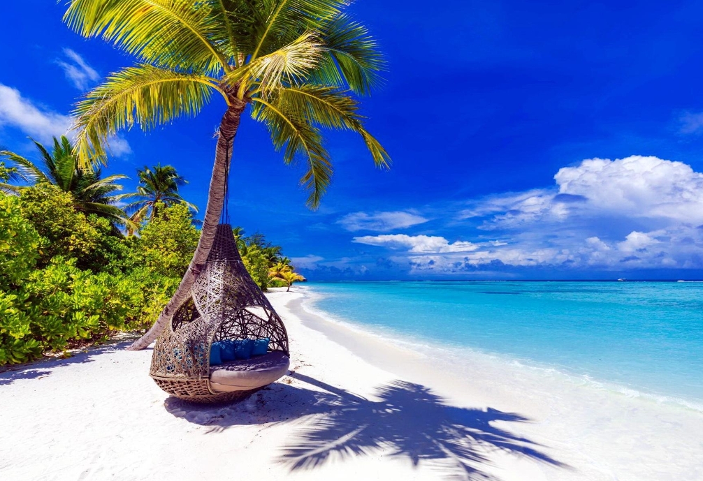 1704789669425733.png ΢ÐŽØÍ¼_20240105145343.png