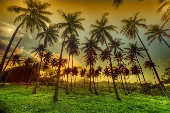 1705652993366039.png ΢ÐŽØÍ¼_20240115170159.png