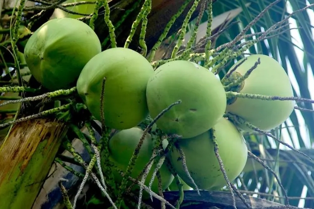 1721204446419359.png 微信截图_20240716170842.png