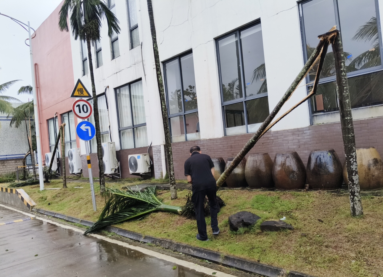 1726035687660811.png ΢ÐŽØÍ¼_20240911105752.png