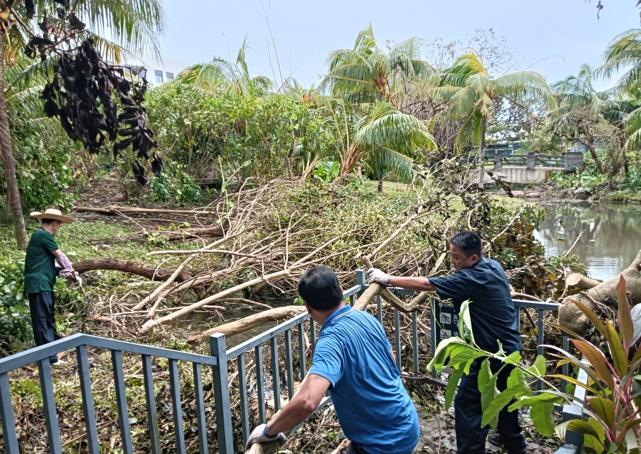 1726035695866787.png ΢ÐŽØÍ¼_20240911105812.png