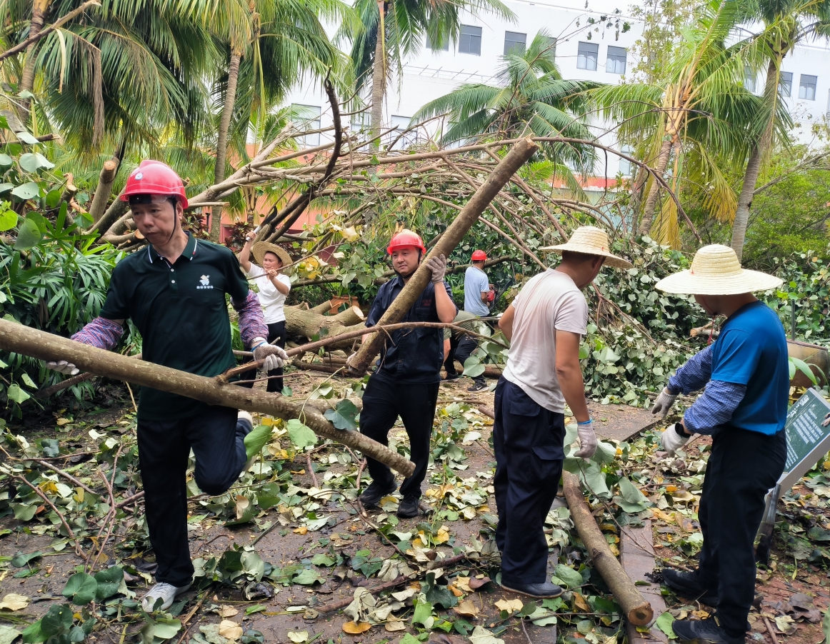 1726035702860417.png ΢ÐŽØÍ¼_20240911105832.png