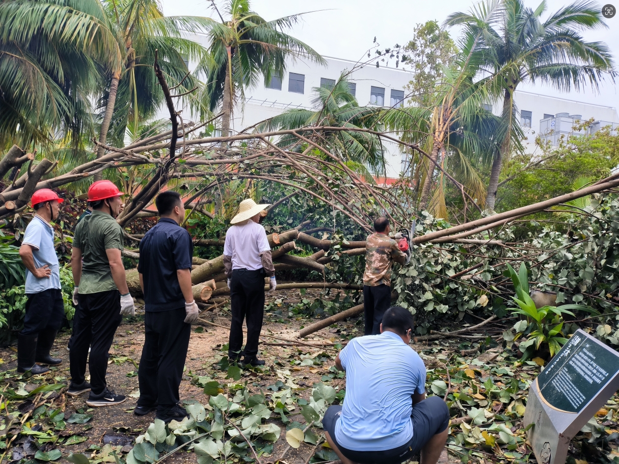 1726035720588690.png ΢ÐŽØÍ¼_20240911105859.png