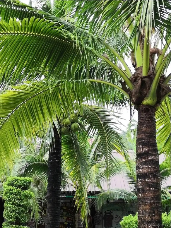 1749711301747798.png ΢ÐŽØÍ¼_20250612112002.png