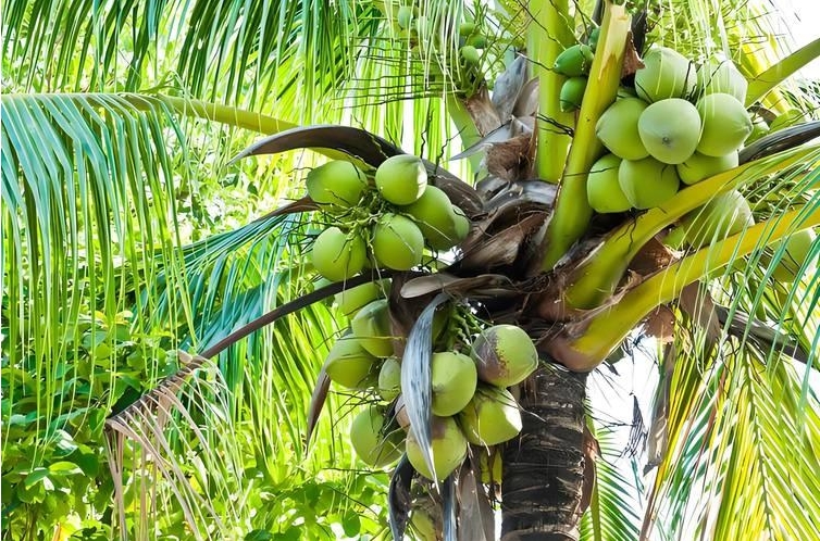 1749711319526116.png ΢ÐŽØÍ¼_20250612111719.png