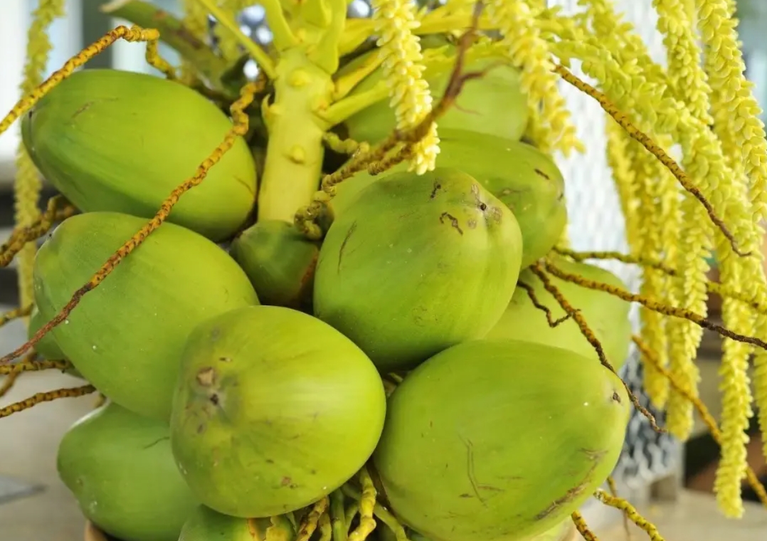 1749803153711207.png ΢ÐŽØÍ¼_20250613153124.png