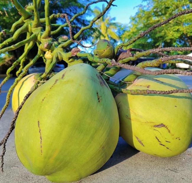 1751012123973608.png ΢ÐŽØÍ¼_20250627152853.png