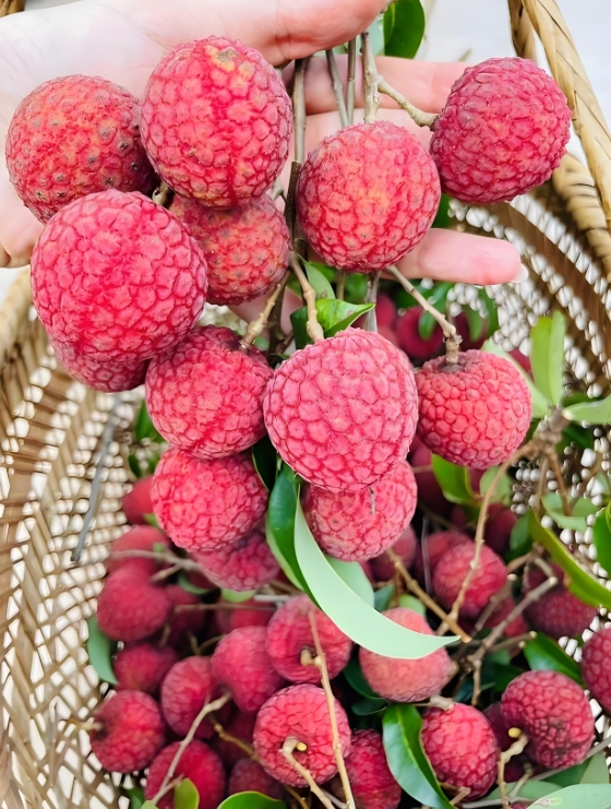 1751356720257465.png 微信截图_20250701144458.png