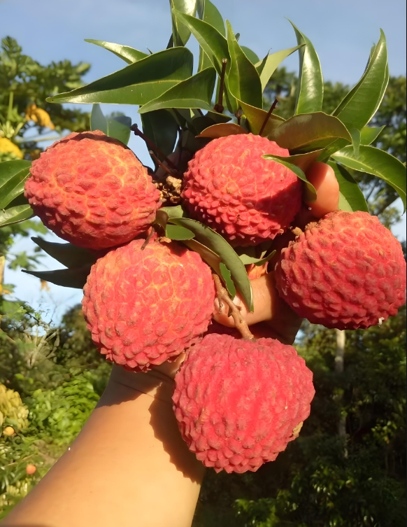 1751356729583890.png 微信截图_20250701144545.png