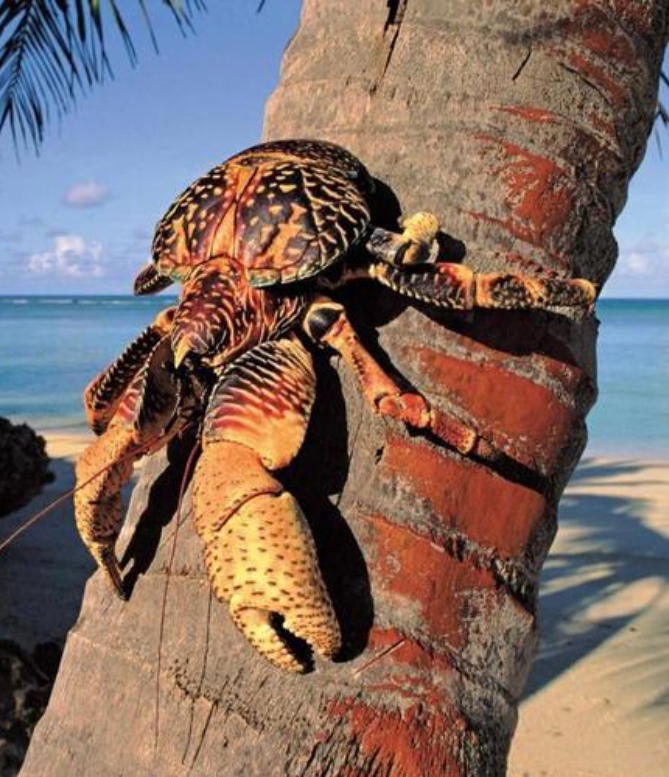 1751875638848671.png ΢ÐŽØÍ¼_20250707145210.png