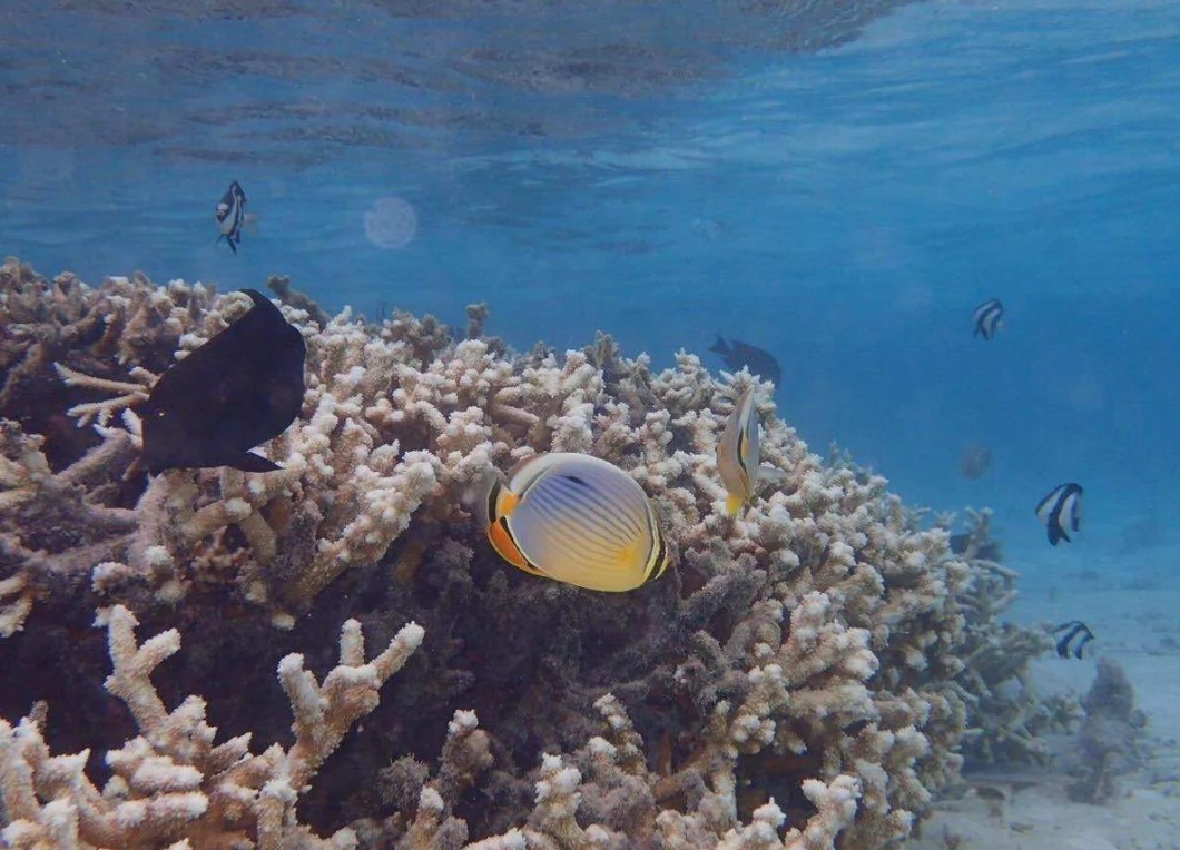 1752049763831788.png ΢ÐŽØÍ¼_20250709155746.png