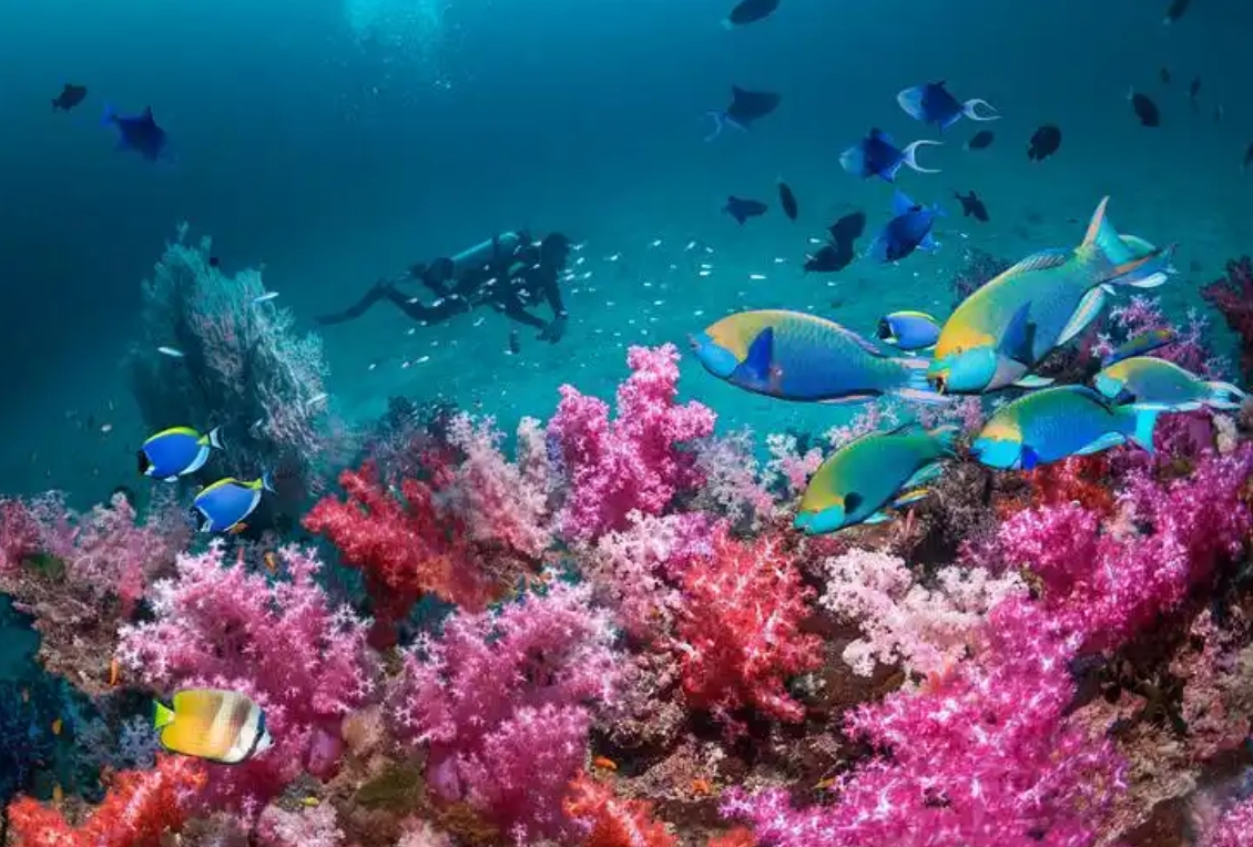 1752049775548925.png ΢ÐŽØÍ¼_20250709155848.png