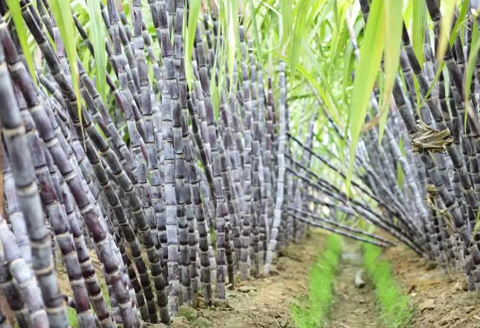 1758789960156385.png wechat_2025-09-23_150345_911.png