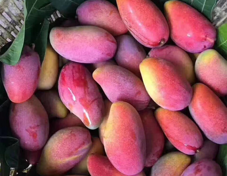 1759046595982572.png wechat_2025-09-26_145530_092.png