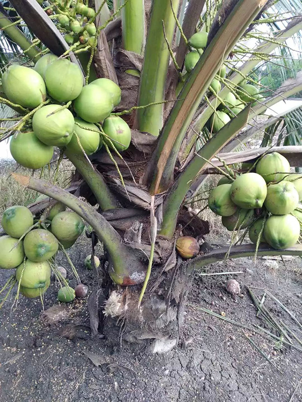 ����luck18(�й���)-�ٷ���վ