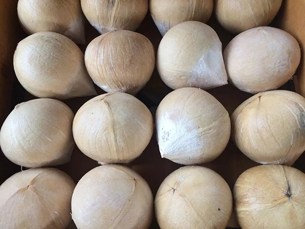 ����luck18(�й���)-�ٷ���վ