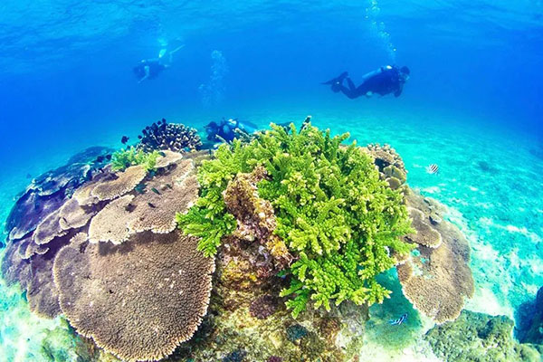 ����luck18(�й���)-�ٷ���վ