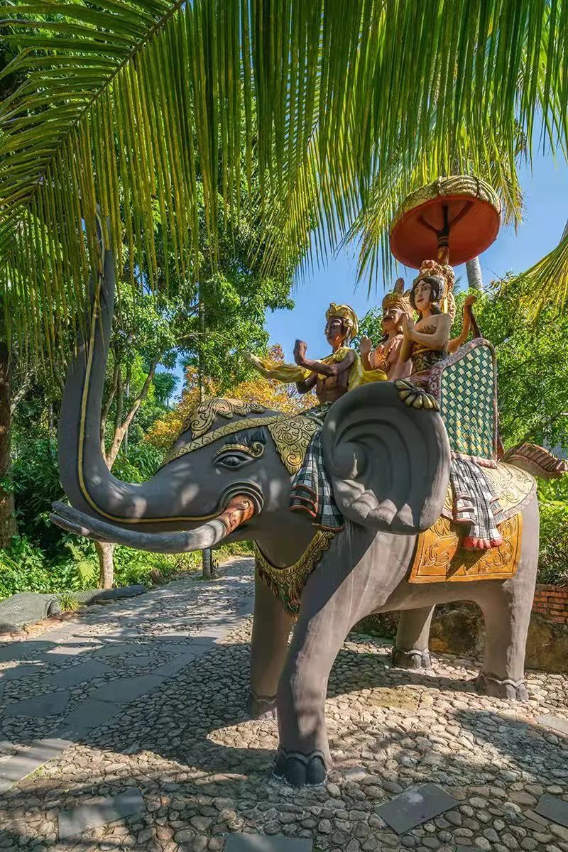 ����luck18(�й���)-�ٷ���վ