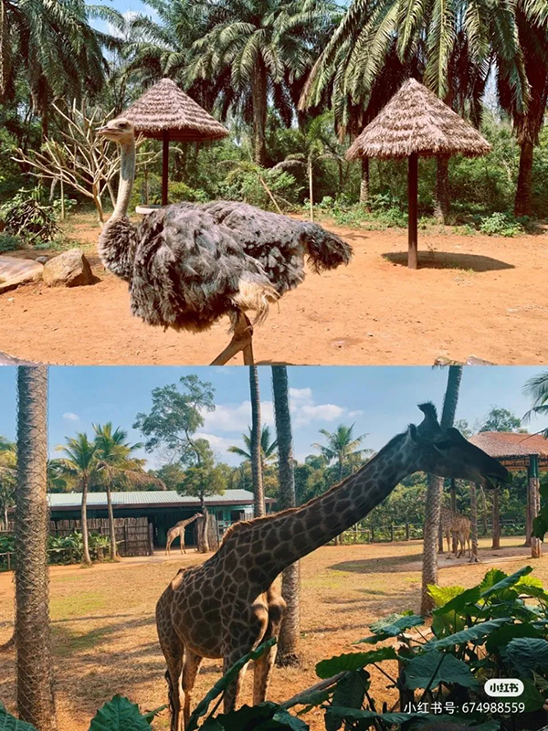 ����luck18(�й���)-�ٷ���վ