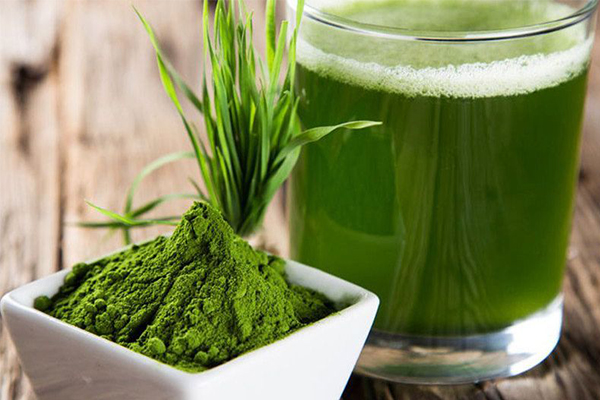 ÇàÖ´îÅä´¿Ò¬×Ó·Û