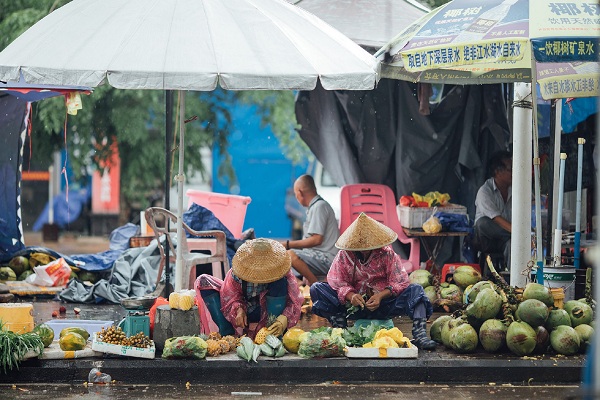 ������������-̼�����