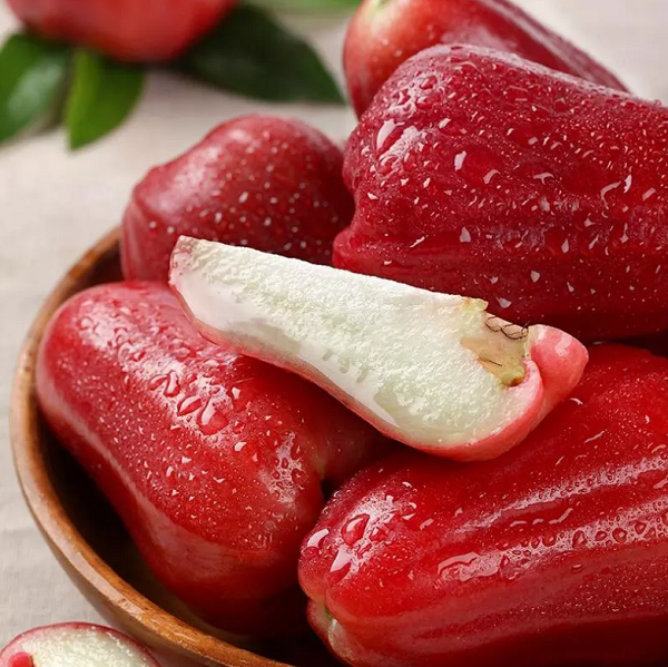 º£ÄϺڽð¸ÕÁ«Îí