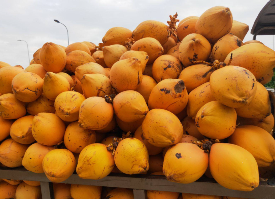 新利luck18(中国区)-官方网站