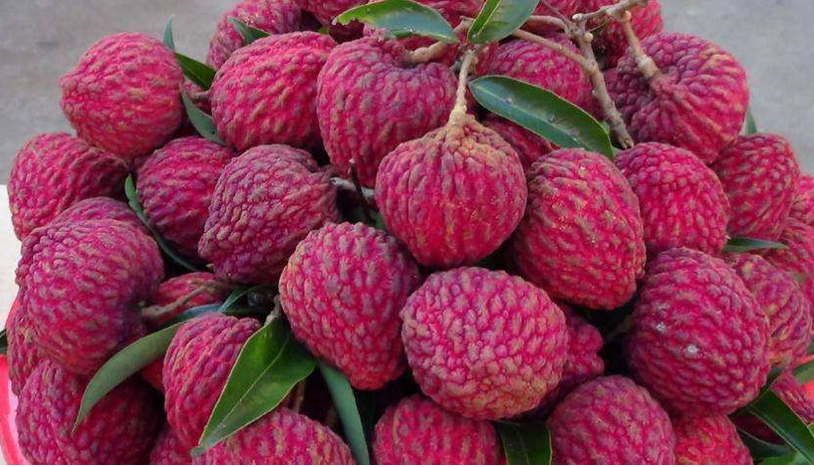 新利luck18(中国区)-官方网站